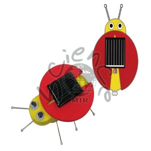 태양광 곤충 진동로봇(무당벌레)
