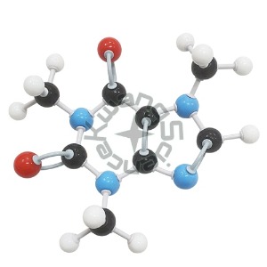 카페인 분자구조모형조립세트(1세트)