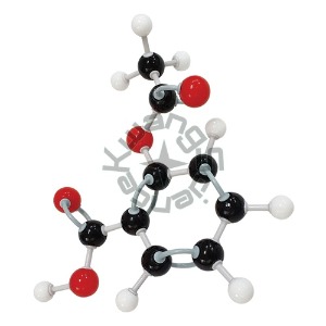 아세틸살리실산 분자구조모형조립세트(1세트)