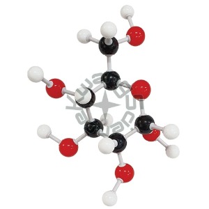 포도당 분자구조모형조립세트(1세트)